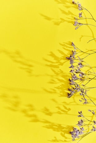 Yellow is a colour that defines happiness.